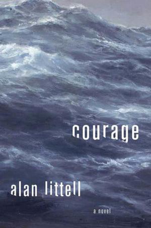 Cover of the book Courage by Tina Wainscott, Jaime Rush