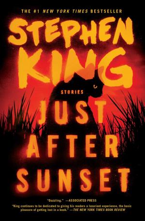 Cover of the book Just After Sunset by Joanna Faber, Julie King