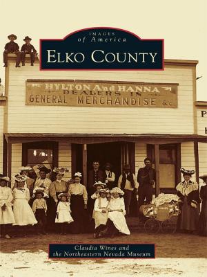 Cover of the book Elko County by Timothy J. Pauldine