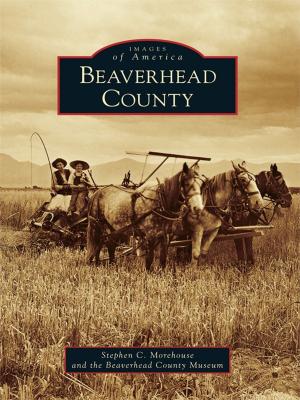 Cover of the book Beaverhead County by David Shribman, Jack DeGange