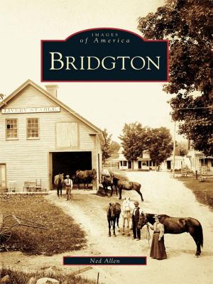 Cover of the book Bridgton by Henrik Krogius