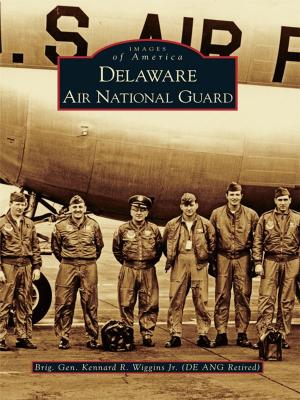 Book cover of Delaware Air National Guard