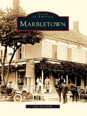 Cover of the book Marbletown by Dawn Youngblood PhD
