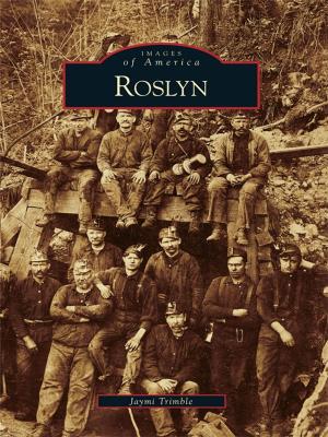 Cover of the book Roslyn by The Lakeland Community Heritage Project, Inc.