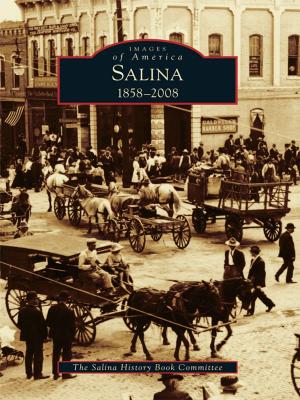 Cover of the book Salina by Monica Hudson