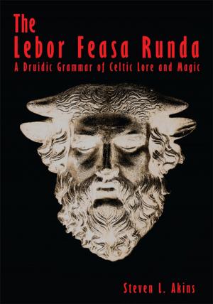 Cover of the book The Lebor Feasa Runda by Sharon E. Dreyer