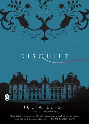 Cover of the book Disquiet by James K. Van Fleet