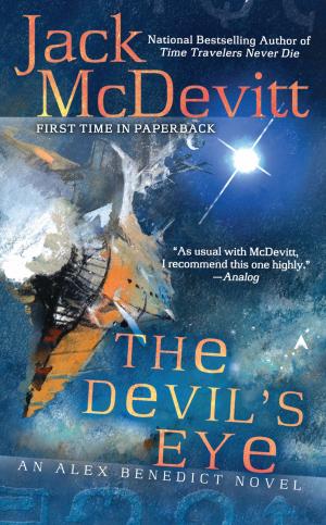 Cover of the book The Devil's Eye by Jake Logan
