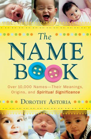 Cover of the book The Name Book by Susannah Clements