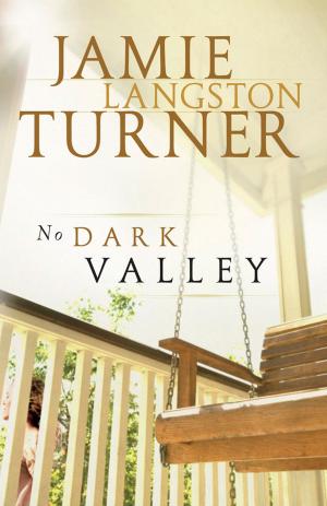Cover of the book No Dark Valley by Chuck D. Pierce, Robert Heidler