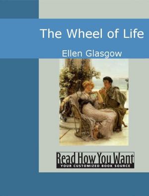 Book cover of The Wheel Of Life