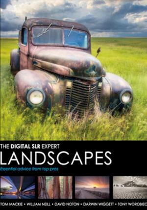 Cover of the book The Digital SLR Expert Landscapes by Tony Worobiec
