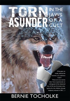 Cover of the book Torn Asunder by Michelle Garcia