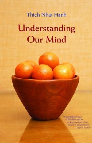 Book cover of Understanding Our Mind