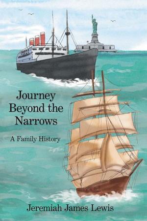 Cover of the book Journey Beyond the Narrows by Richard Hébert