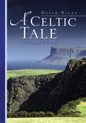 bigCover of the book A Celtic Tale by 