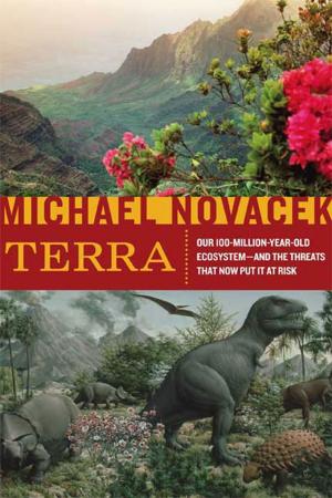 Cover of the book Terra by Robert Crichton