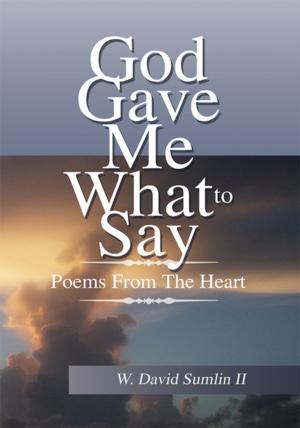 Cover of the book God Gave Me What to Say by Daniel Cantwell