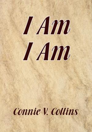 Cover of the book I Am I Am by Donna Dvorak