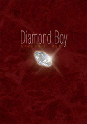 Cover of the book Diamond Boy by David Dobson
