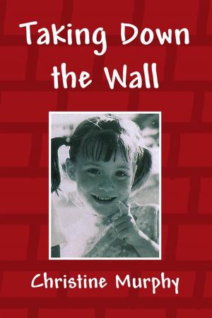 Cover of the book Taking Down the Wall by Patricia L. Carpenter