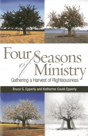 Cover of the book Four Seasons of Ministry by Diane Devanney, Darla Nagy, Margie Pearse