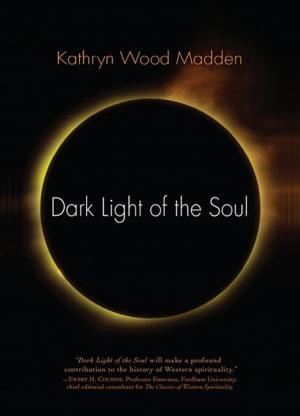 Cover of the book Dark Light of the Soul by Christy Mackaye Barnes, Douglas Gerwin