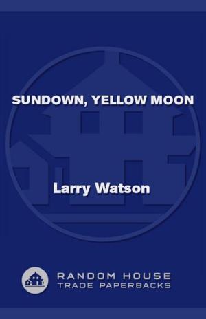 Cover of the book Sundown, Yellow Moon by Naomi Novik