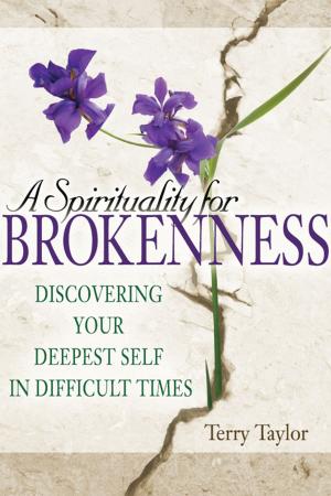 bigCover of the book A Spirituality for Brokenness: Discovering Your Deepest Self in Difficult Times by 