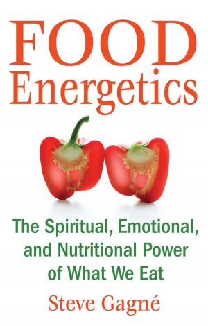 bigCover of the book Food Energetics by 