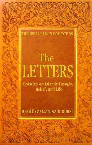 Cover of the book Letters by Ali Fuat Bilkan