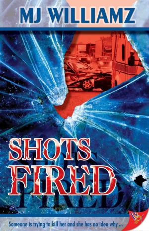 Cover of the book Shots Fired by John Connolly