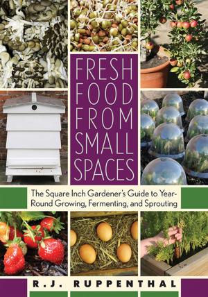 Cover of the book Fresh Food from Small Spaces by David Easton