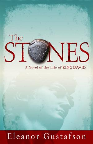 bigCover of the book The Stones by 