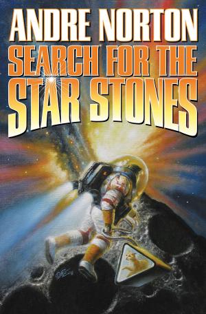 Cover of the book Search for the Star Stones by Dave Freer