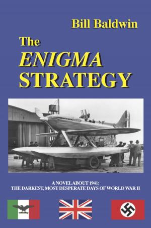 Cover of the book THE ENIGMA STRATEGY by Douglas DiNunzio