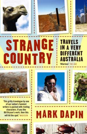 Cover of the book Strange Country by Jillian Schedneck