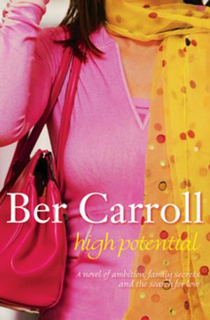 Cover of the book High Potential by JR Carroll
