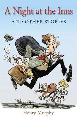 bigCover of the book A Night at the Inns and Other Stories by 