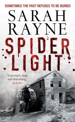 Cover of the book Spider Light by Carol Rivers