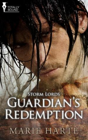 Cover of the book Guardian's Redemption by Mirren Hogan