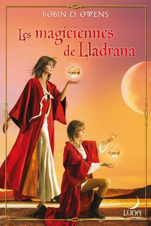 Cover of the book Les magiciennes de LLadrana by David A. Gustafson