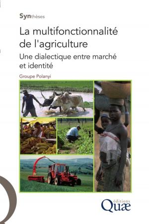 Cover of the book La multifonctionnalité de l'agriculture by Charles Baldy, Cornelius J. Stigter