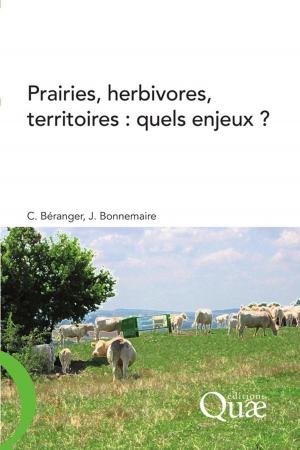 Book cover of Prairies, herbivores, territoires : quels enjeux ?