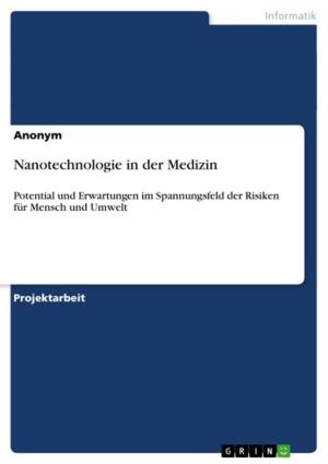 Cover of the book Nanotechnologie in der Medizin by Nadja Rueth