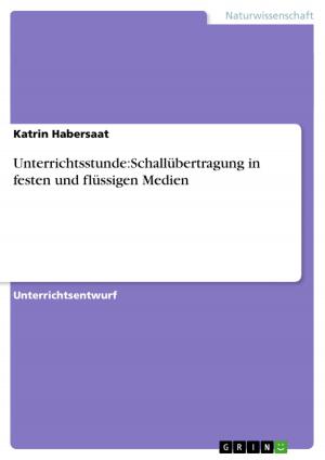 Cover of the book Unterrichtsstunde:Schallübertragung in festen und flüssigen Medien by Sandra Eggers