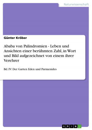 Cover of the book Ababa von Palindromien - Leben und Ansichten einer berühmten Zahl, in Wort und Bild aufgezeichnet von einem ihrer Verehrer by Luise Knah