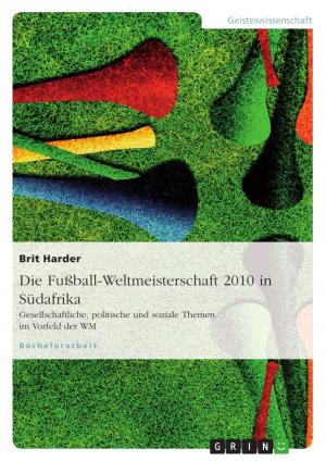 Cover of the book Die Fußball-Weltmeisterschaft 2010 in Südafrika by Daniel Feldkamp, Janne Peter