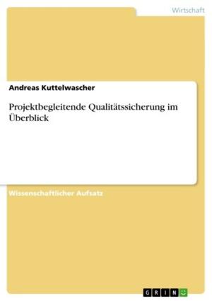 Cover of the book Projektbegleitende Qualitätssicherung im Überblick by Robert Tritscher