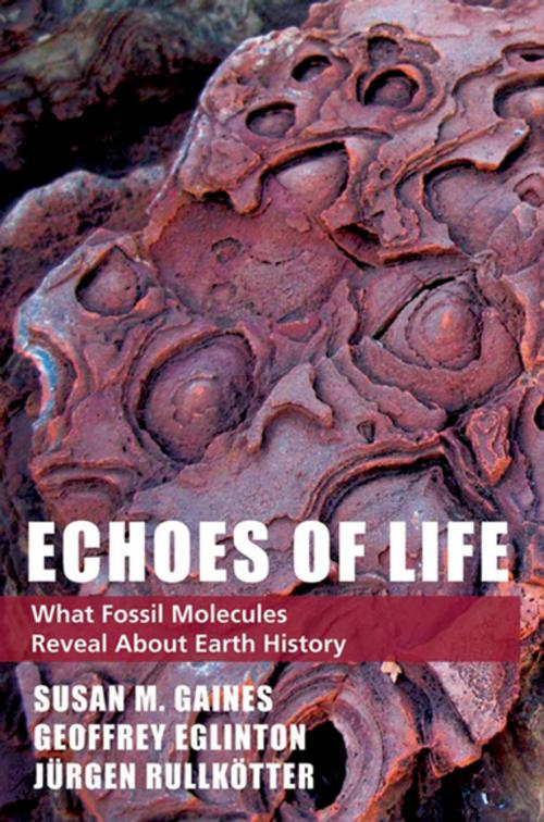 Cover of the book Echoes of Life by Susan M. Gaines, Geoffrey Eglinton, Jurgen Rullkotter, Oxford University Press